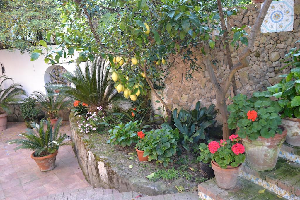 Piccolo Tirreno Hotel Residence Прочида Екстер'єр фото